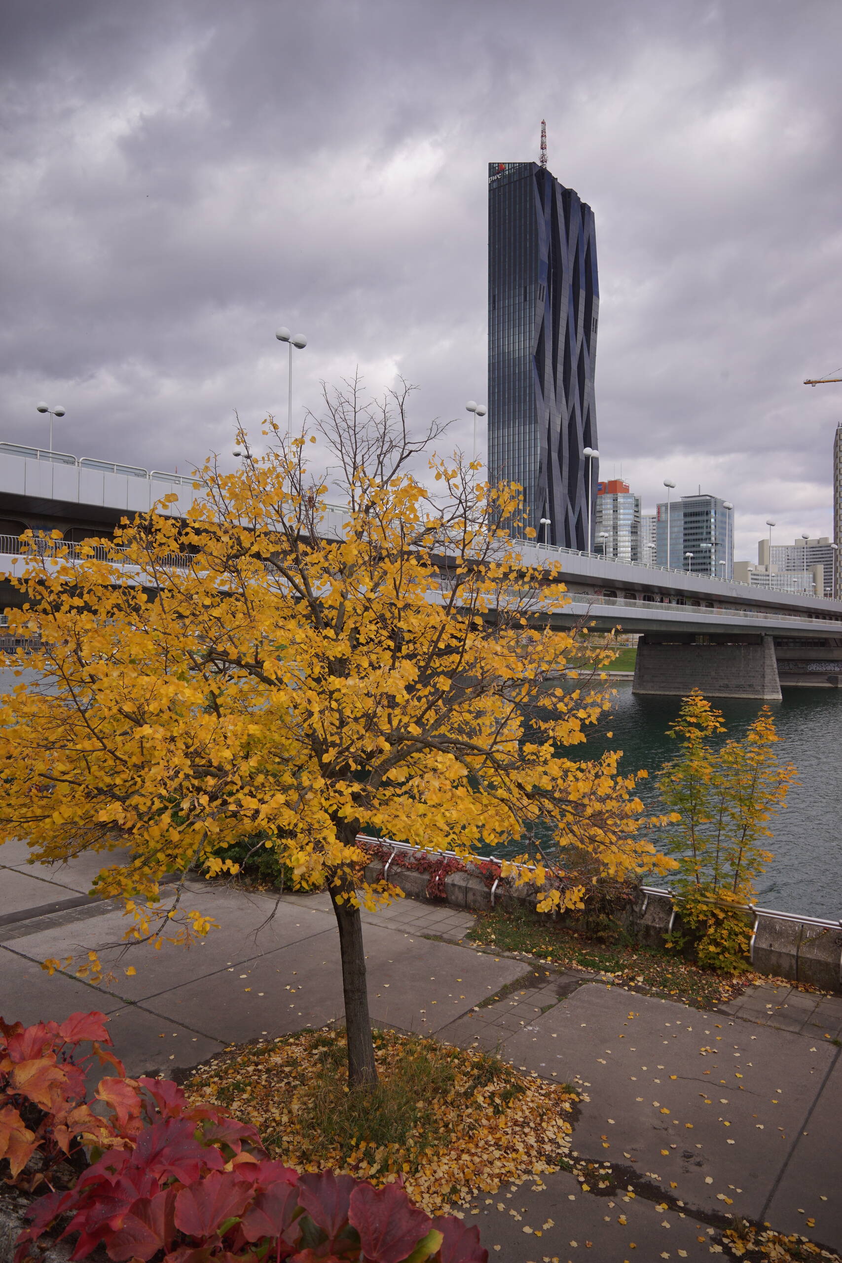 An image of Tree & Bridge.